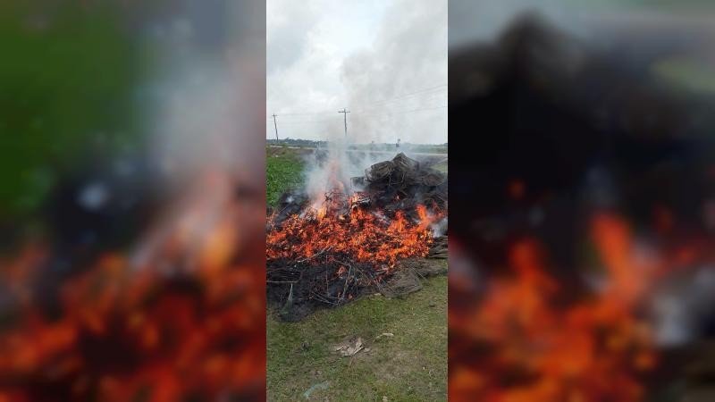 নেত্রকোণায় জনস্বার্থে মোবাইল কোর্ট, জরিমানা ও কারাদণ্ড