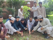 আইইউসানসের নবগঠিত কমিটির বৃক্ষরোপণ কর্মসূচি