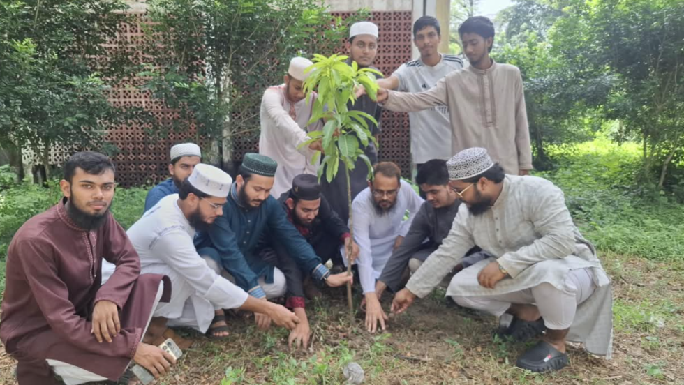 আইইউসানসের নবগঠিত কমিটির বৃক্ষরোপণ কর্মসূচি