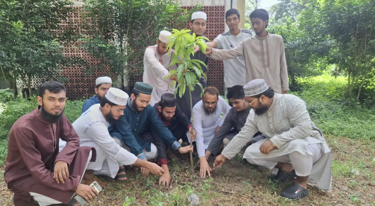 আইইউসানসের নবগঠিত কমিটির বৃক্ষরোপণ কর্মসূচি