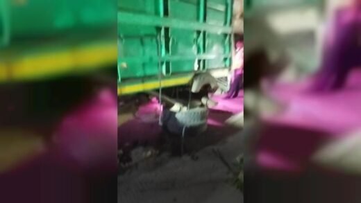 বগুড়ার শেরপুরে ট্রাক চাপায় ৩ জন নিহত