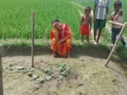 রাতের আঁধারে কেটে ফেলা হলো ঋণের টাকায় চাষ করা লাউগাছ, খেতেই স্ত্রীর কান্না