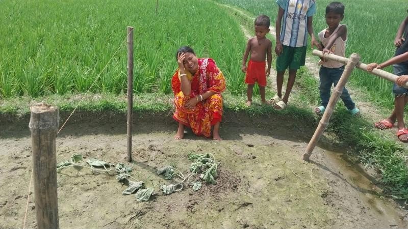 রাতের আঁধারে কেটে ফেলা হলো ঋণের টাকায় চাষ করা লাউগাছ, খেতেই স্ত্রীর কান্না