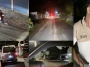 গাছ ফেলে ডাকাতির চেষ্টা, চালকের বুদ্ধিতে রক্ষা পেল প্রবাসী যাত্রীরা