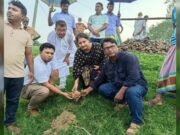 শাহজাদপুরে যমুনা তীর রক্ষা বাঁধে তালবীজ বপন, উদ্বোধন করলেন ইউএনও