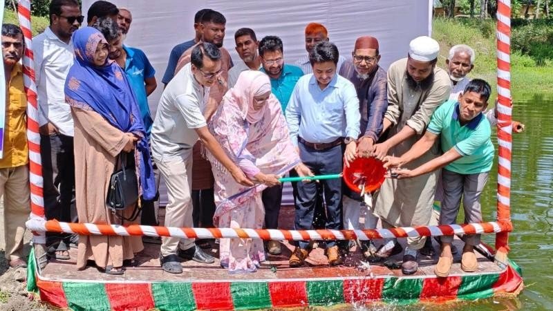দেশীয় মাছ প্রজনন বৃদ্ধিসহ মৎস্য উৎপাদনে সরকার কাজ করে যাচ্ছে: বিলকিস ইসলাম এমপি