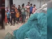 কালুখালীর হরিণবাড়িয়া চরে নিষিদ্ধ চায়না দুয়ারি জালের কারখানায় ছয়লাপ