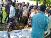 বাইশারীতে ব্যবসায়ীর গলা কাটা লাশ উদ্ধার, আটক ১