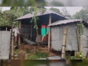 হালুয়াঘাটে আকস্মিক ঝড়ে অর্ধশতাধিক ঘরবাড়ি ক্ষতিগ্রস্ত