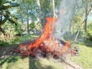গোপালপুরে অবৈধ চায়না জালের বিরুদ্ধে অভিযান, ১২০০ মিটার জাল পুড়িয়ে ধ্বংস