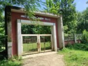 বুড়িচংয়ের ময়নামতি পাহাড়ে শ্লীলতাহানির শিকার ১৩ বছরের কিশোরী