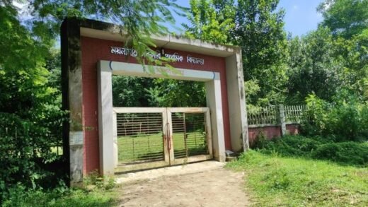 বুড়িচংয়ের ময়নামতি পাহাড়ে শ্লীলতাহানির শিকার ১৩ বছরের কিশোরী