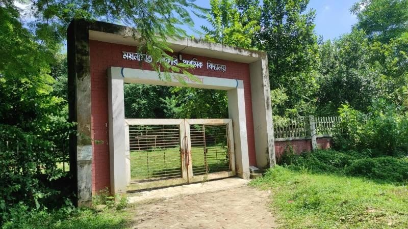 বুড়িচংয়ের ময়নামতি পাহাড়ে শ্লীলতাহানির শিকার ১৩ বছরের কিশোরী