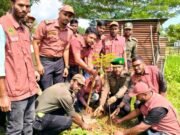 নালিতাবাড়ীতে আনসার ভিডিপির বৃক্ষরোপন কর্মসূচি পালিত
