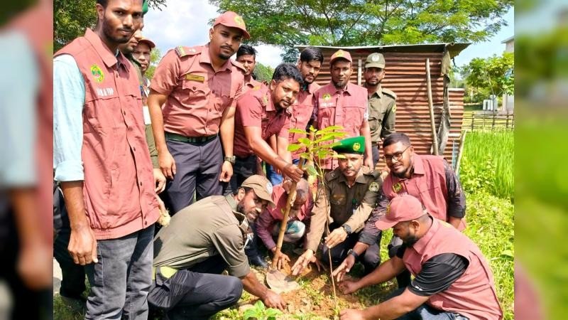 নালিতাবাড়ীতে আনসার ভিডিপির বৃক্ষরোপন কর্মসূচি পালিত
