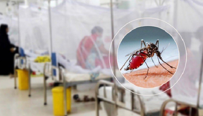 ডেঙ্গুতে আরও ৬ মৃত্যু, এক দিনে হাসপাতালে ভর্তির রেকর্ড