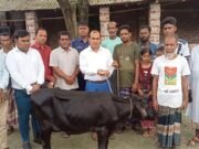  প্রতিমন্ত্রীর গাড়ির ধাক্কায় নিহত ফিরোজার পরিবারকে গাভী প্রদান