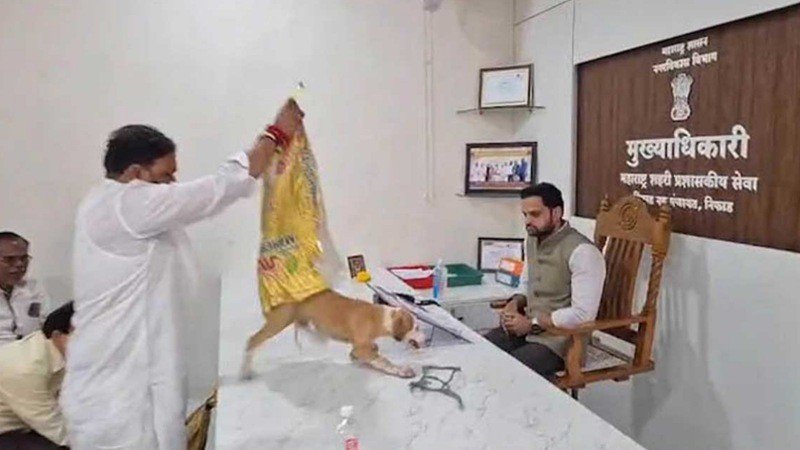 কুকুরের উৎপাত নিয়ে ৬ মাসেও ব্যবস্থা নেই, কর্মকর্তার টেবিলে দিলেন কুকুর
