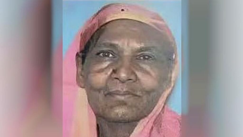 হলো না মেয়ের বাড়ি যাওয়া, প্রতিমন্ত্রীর গাড়ির ধাক্কায় প্রাণ হারালেন ফিরোজা