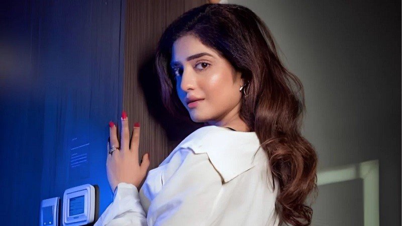 অভিনয় থেকে এবার রাজনীতির ময়দানে জনপ্রিয় অভিনেত্রী