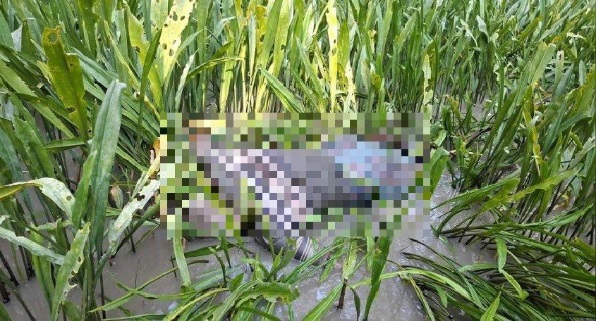 পাথরঘাটায় বিষখালী নদীতে নিখোঁজ ব্যক্তির ভাসমান লাশ উদ্ধার