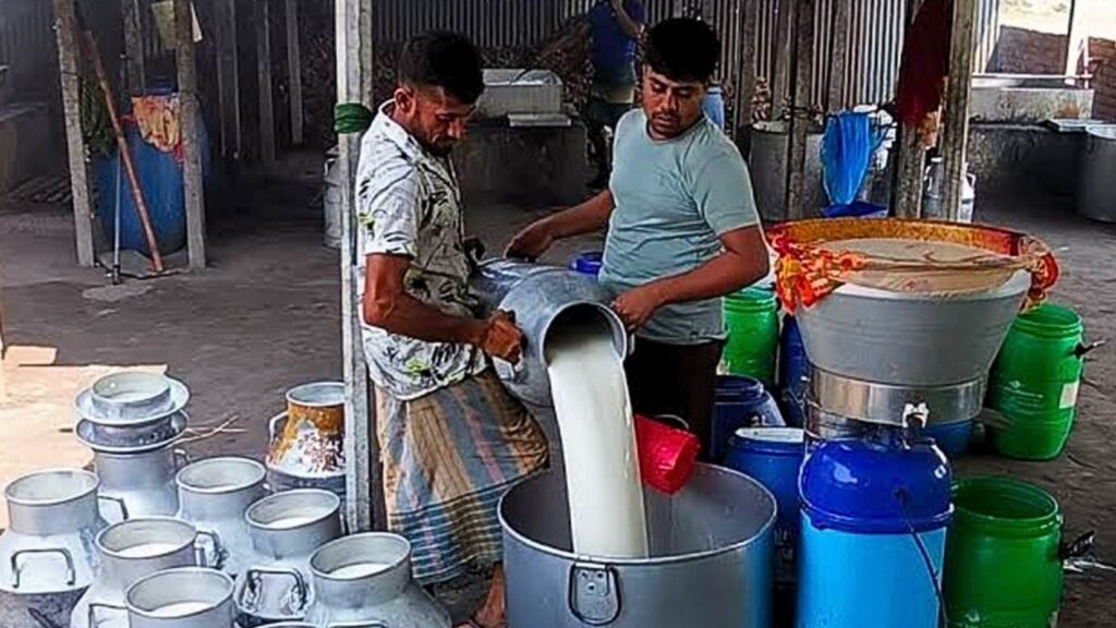 এবার বেড়েছে দুধের দাম এবার বেড়েছে দুধের দাম