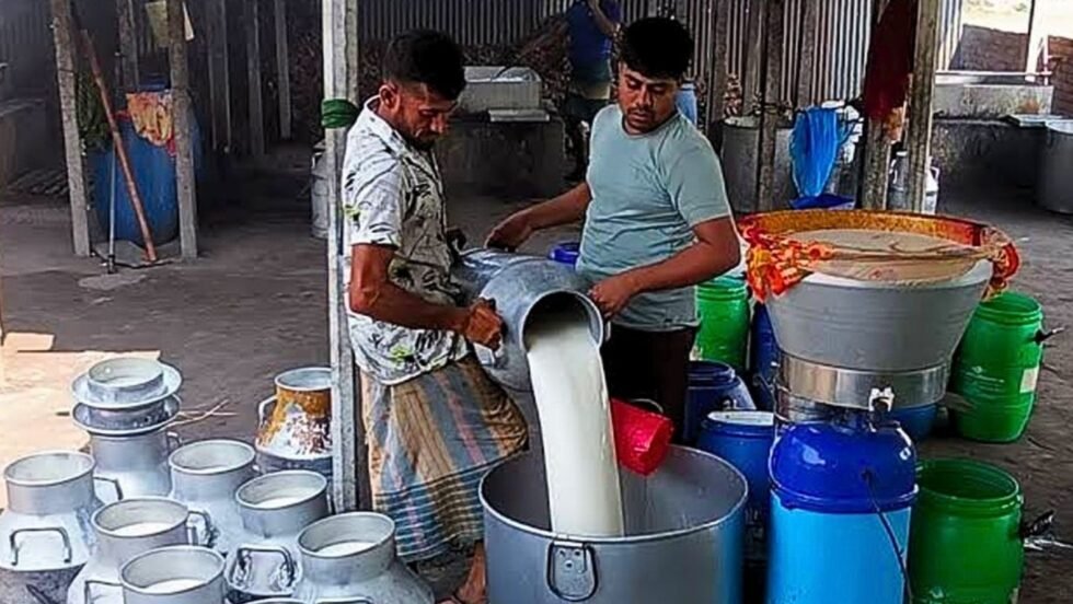 এবার বেড়েছে দুধের দাম