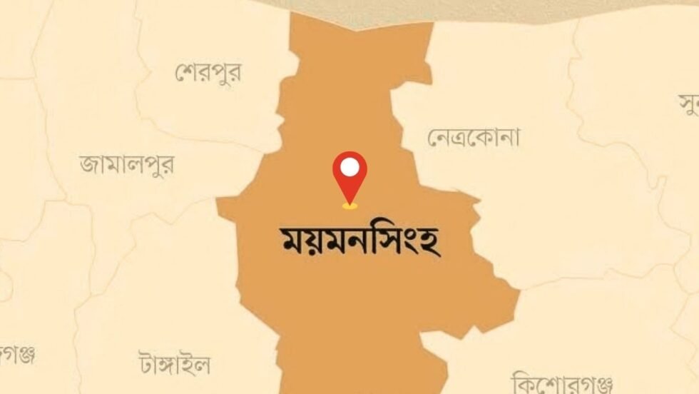 ভিমরুলের কামড়ে নানী ও নাতনির মৃত্যু