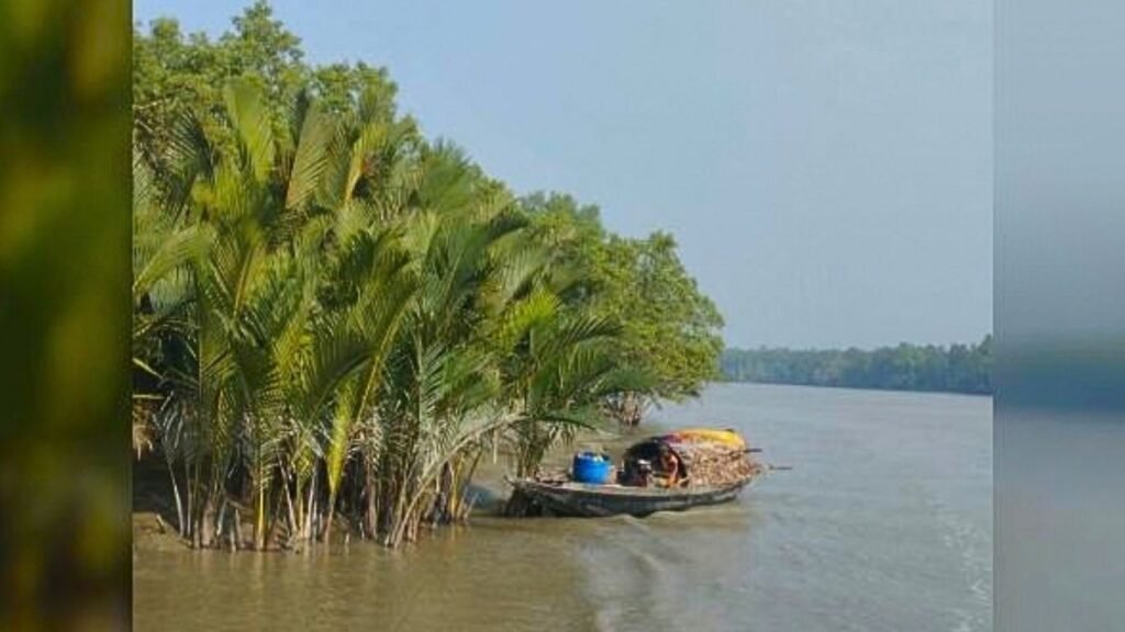 সুন্দরবনে বনদস্যু মজনু বাহিনীর হাতে ৪ জেলে অপহরণ সুন্দরবনে বনদস্যু মজনু বাহিনীর হাতে ৪ জেলে অপহরণ