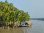 সুন্দরবনে বনদস্যু মজনু বাহিনীর হাতে ৪ জেলে অপহরণ 