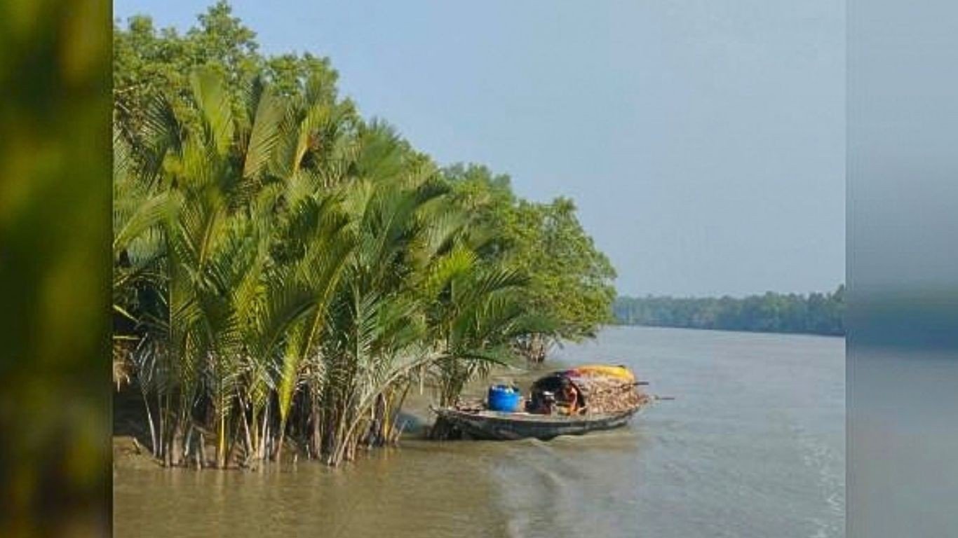 সুন্দরবনে বনদস্যু মজনু বাহিনীর হাতে ৪ জেলে অপহরণ 