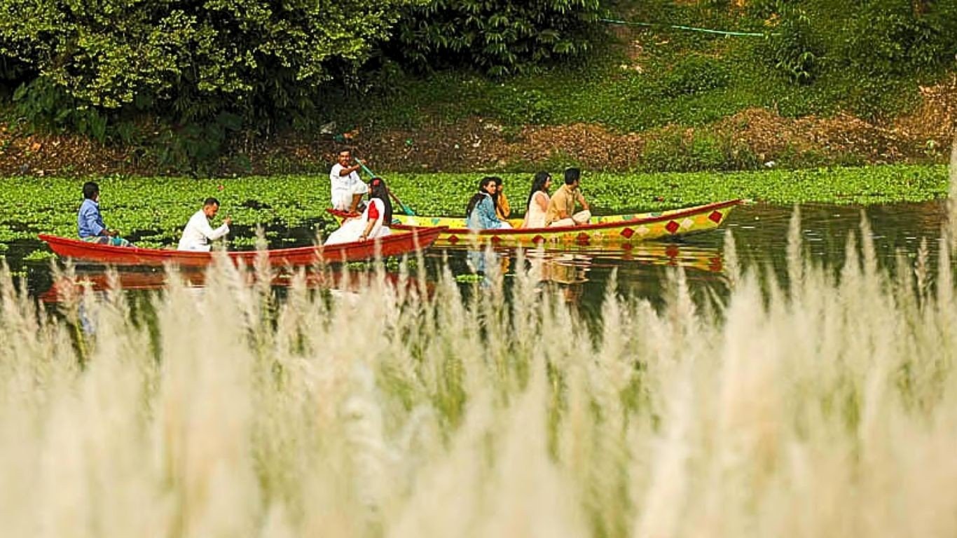 ঢাকার আশপাশে শরতের সেরা কাশফুলের ঠিকানা