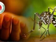 ডেঙ্গুতে আরও ৩ জনের প্রাণহানি, হাসপাতালে নতুন ভর্তি ১৪৬৩