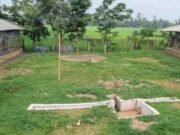মুরগি খামারের বর্জ্য থেকে পাওয়া গ্যাসে কমছে জ্বালানি ব্যয়