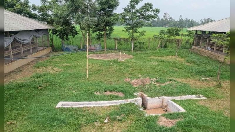 মুরগি খামারের বর্জ্য থেকে পাওয়া গ্যাসে কমছে জ্বালানি ব্যয়