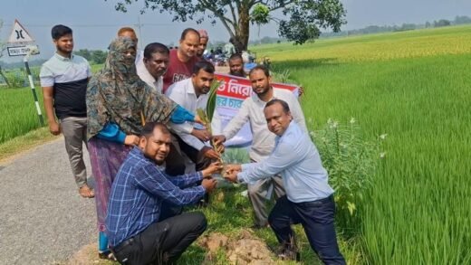 জয়পুরহাটে বজ্রপাত থেকে সুরক্ষায় ২০০ তালের চারা রোপণ