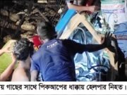 যশোরে পিকআপ ভ্যান ও গাছের সংঘর্ষে হেলপার নিহত