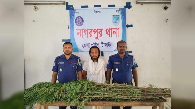 নাগরপুরে পাঁচটি গাজা গাছসহ ব্যবসায়ী আটক