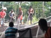 মা ইলিশ রক্ষায় আজ থেকে ২২ দিনের নিষেধাজ্ঞা শুরু