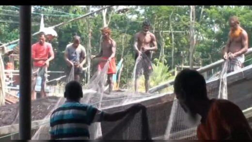 মা ইলিশ রক্ষায় আজ থেকে ২২ দিনের নিষেধাজ্ঞা শুরু