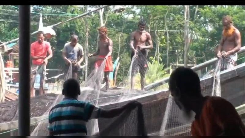 মা ইলিশ রক্ষায় আজ থেকে ২২ দিনের নিষেধাজ্ঞা শুরু
