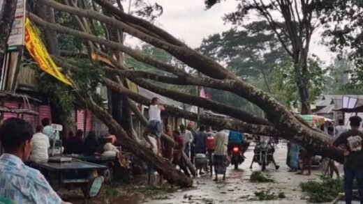 জামালপুরে ঝোড়ো বাতাসে গাছপালা উপড়ে সড়কে যান চলাচল বন্ধ