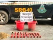 পাংশায় পরিত্যক্ত অবস্থায় ৪২টি অবিস্ফোরিত ককটেল উদ্ধার করেছে এসআরবি