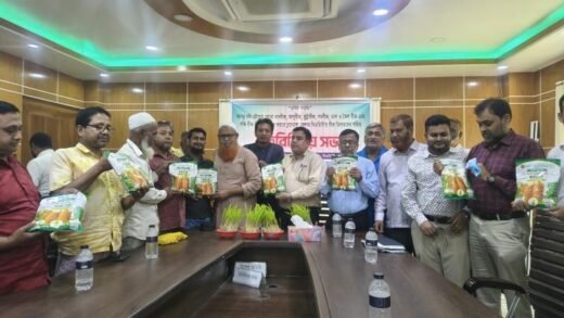 চুয়াডাঙ্গায় বিএডিসির বীজ ডিলারদের সঙ্গে মতবিনিময় সভা অনুষ্ঠিত