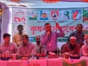 চার জাতের হাইব্রিড পেঁয়াজ বীজ নিয়ে পাংশায় কৃষক সমাবেশ