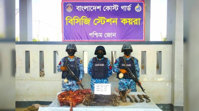সুন্দরবনে হরিণের মাংস, মাথা, পা ও চামড়া জব্দ