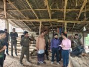 অনুমোদনহীন দুই করাতকলকে জরিমানা, জব্দ কাঠ ও যন্ত্রাংশ