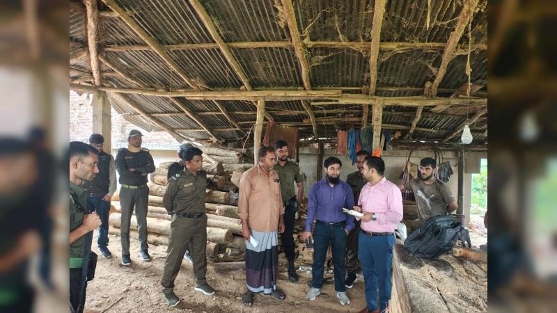 অনুমোদনহীন দুই করাতকলকে জরিমানা, জব্দ কাঠ ও যন্ত্রাংশ
