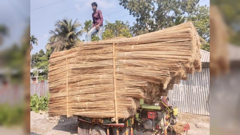 নড়াইলে পাটকাঠি ঘিরে নতুন বাণিজ্যিক সম্ভাবনা