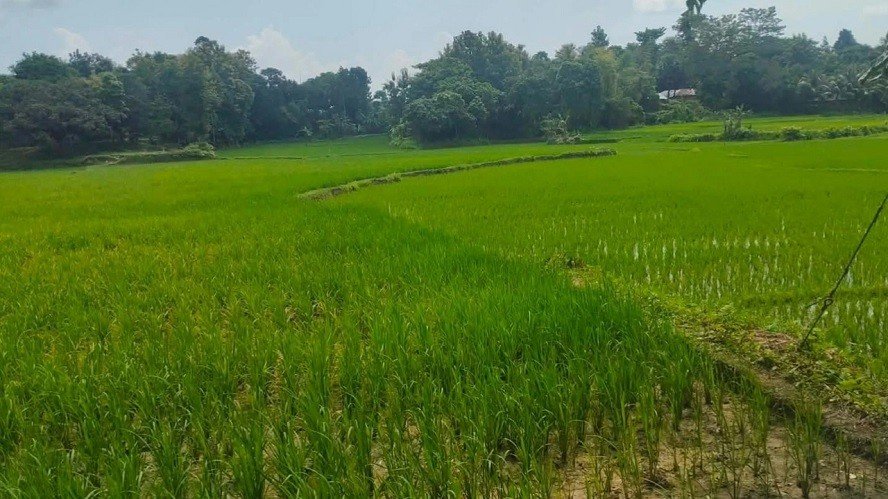 নামজারি করে দেওয়ার বিনিময়ে ঘুস নিলেন ৯ শতক জমি